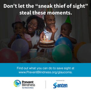 Don't let the "sneak thief of sight" steal these moments